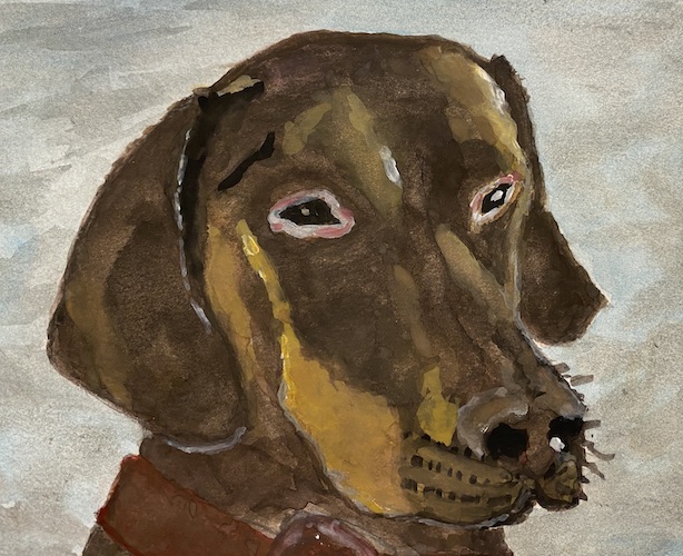 chien dobermann