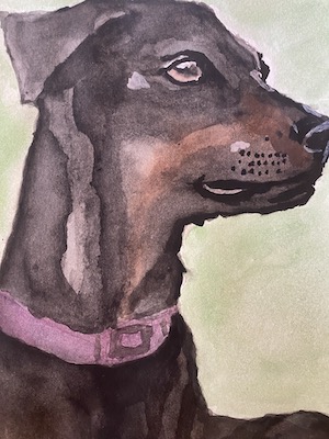 chien dobermann